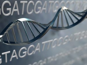 dna-model